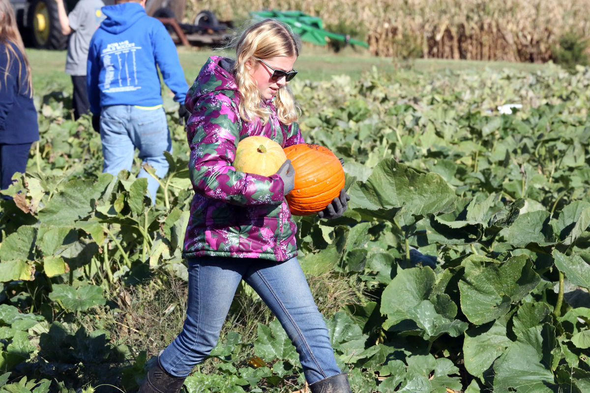 St Joseph Pumpkin Patch (5).jpg